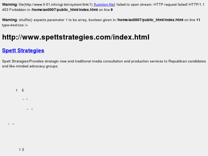 www.spettstrategies.com