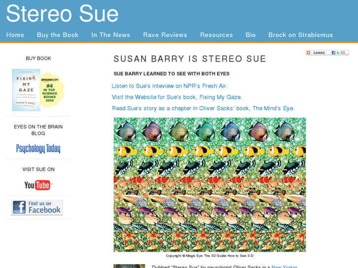 www.stereosue.com