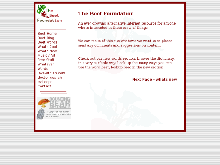 www.beetfoundation.com