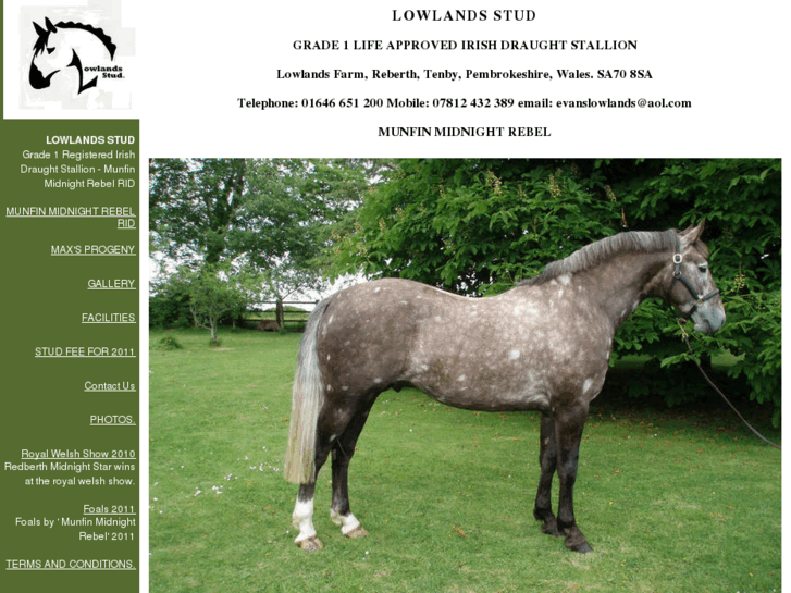 www.lowlands-stud.com