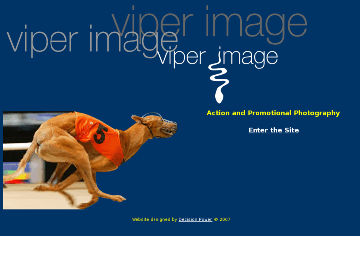 www.viperimage.com