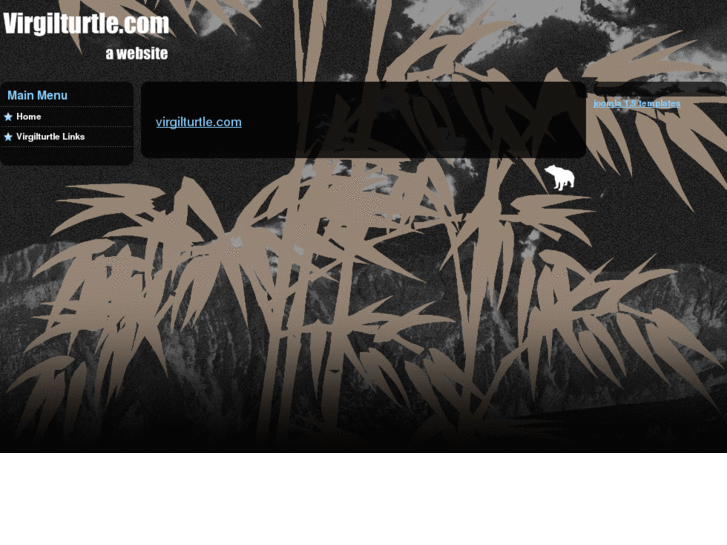 www.virgilturtle.com