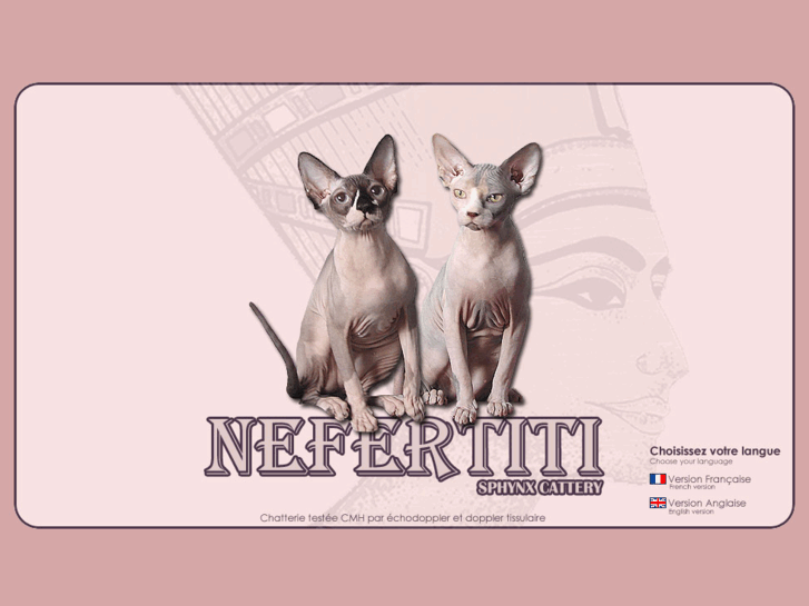 www.nefertiti-sphynx.com