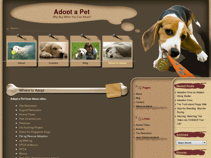 www.adoptapet.sg