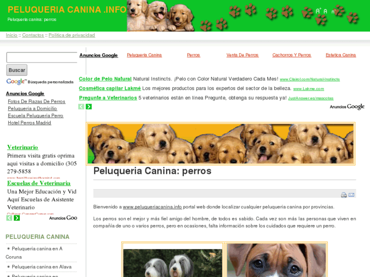 www.peluqueriacanina.info