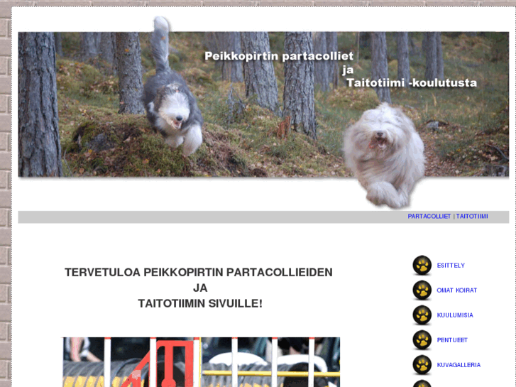 www.peikkopirtintaitotiimi.com