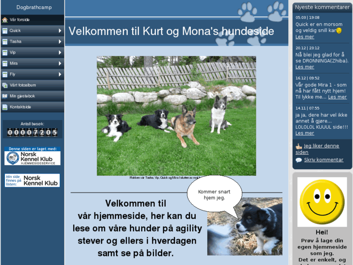 www.dogbrathcamp.com