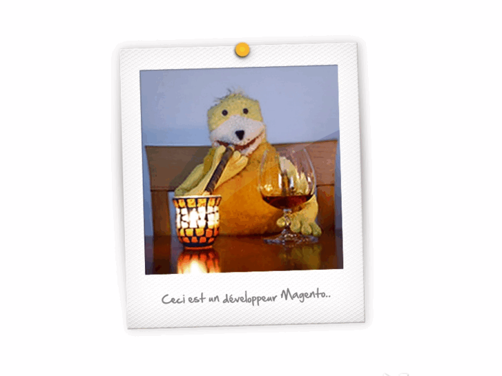 www.developpeur-magento.com