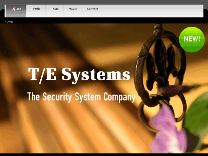 www.te-sys.com