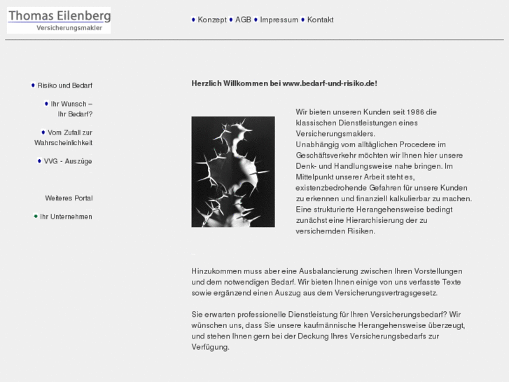 www.bedarf-und-risiko.de
