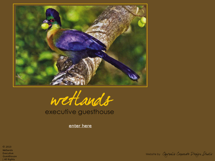 www.wetlandsguesthouse.com