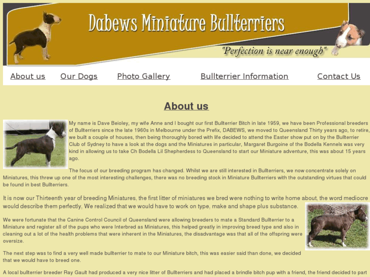 www.dabewsminiaturebullterriers.com