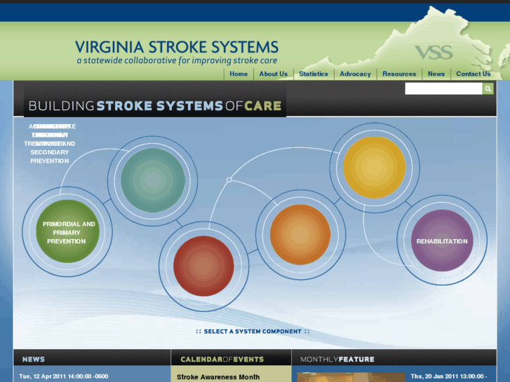 www.virginiastrokesystems.com