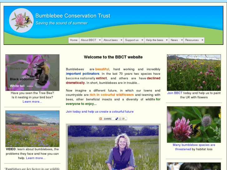 www.bumblebeeconservation.org