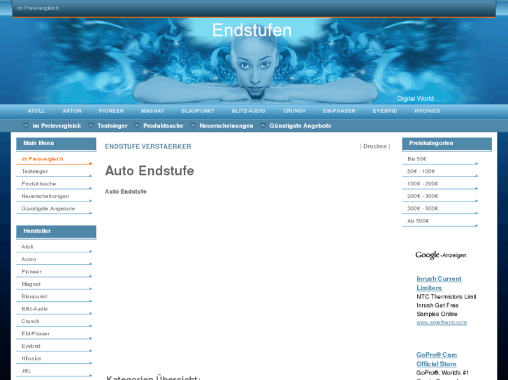 www.auto-endstufe.de