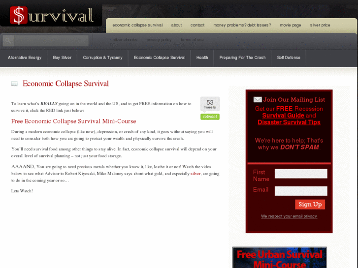 www.economiccollapsesurvival.com
