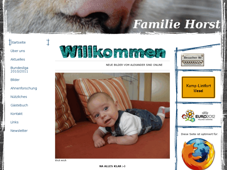 www.horst-online.net