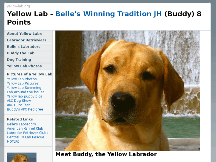 www.yellow-lab.net