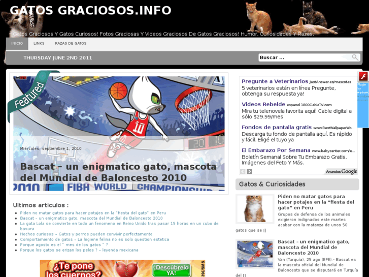 www.gatosgraciosos.info