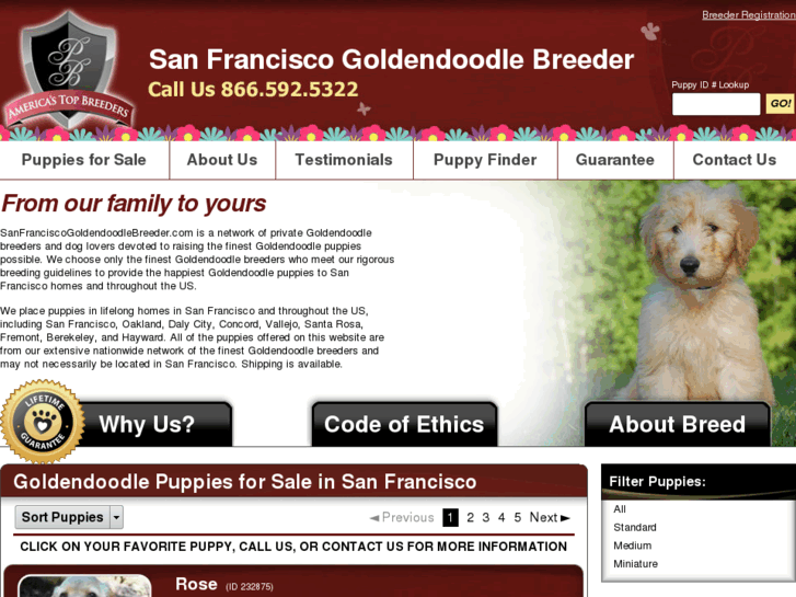www.sanfranciscogoldendoodlebreeders.com