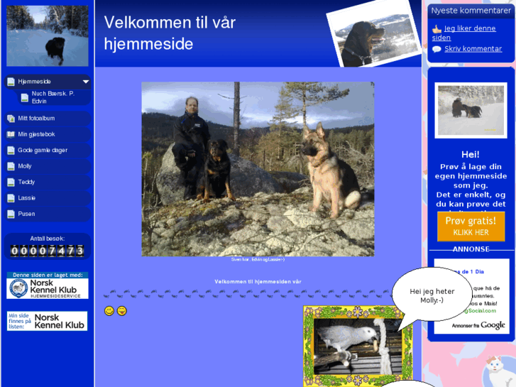 www.fjord-vang.net