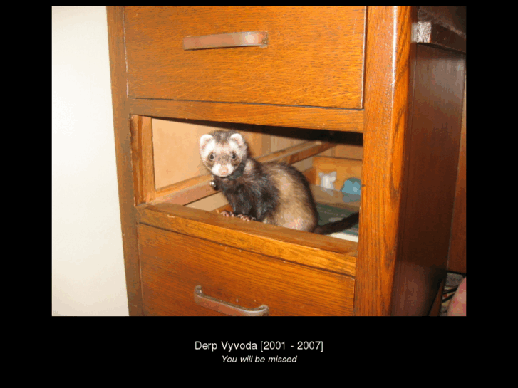 www.derpishi.com
