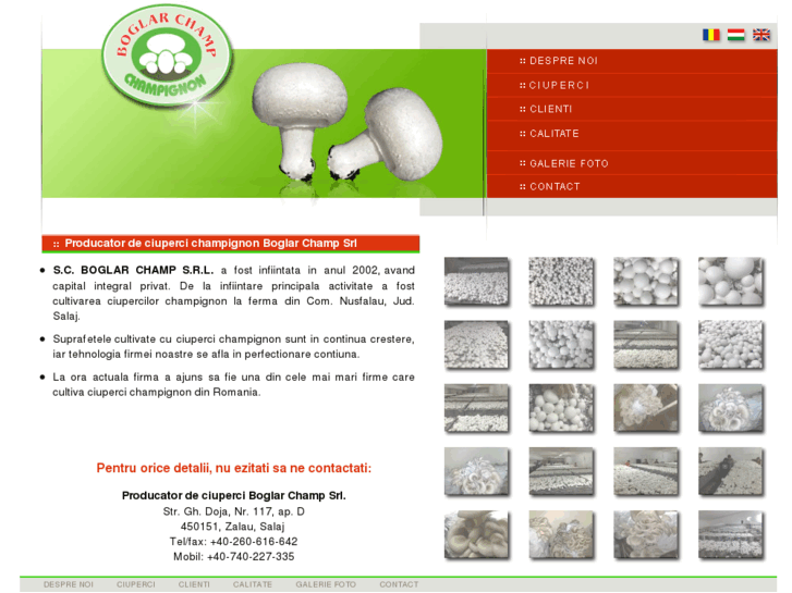 www.boglarchamp.ro