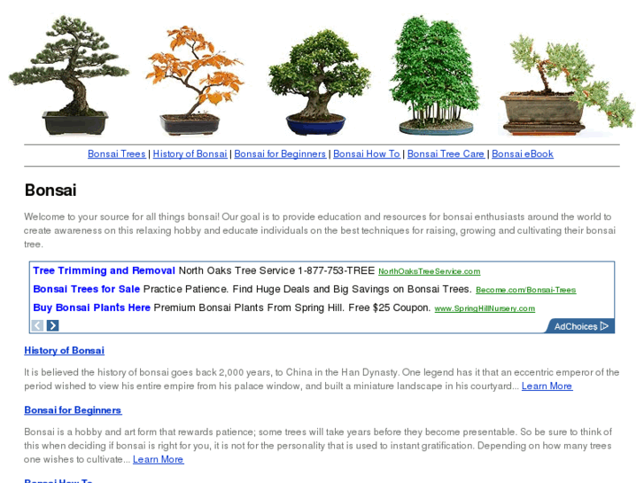 www.rainingbonsai.com