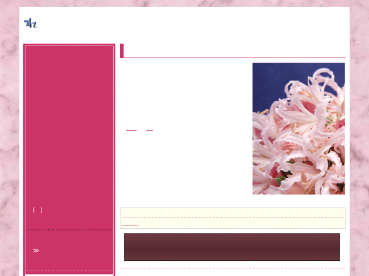 www.uranai-kyokai.com