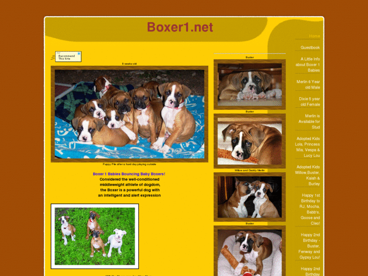 www.boxer1.net