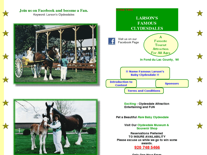 www.larsonsclydesdales.com