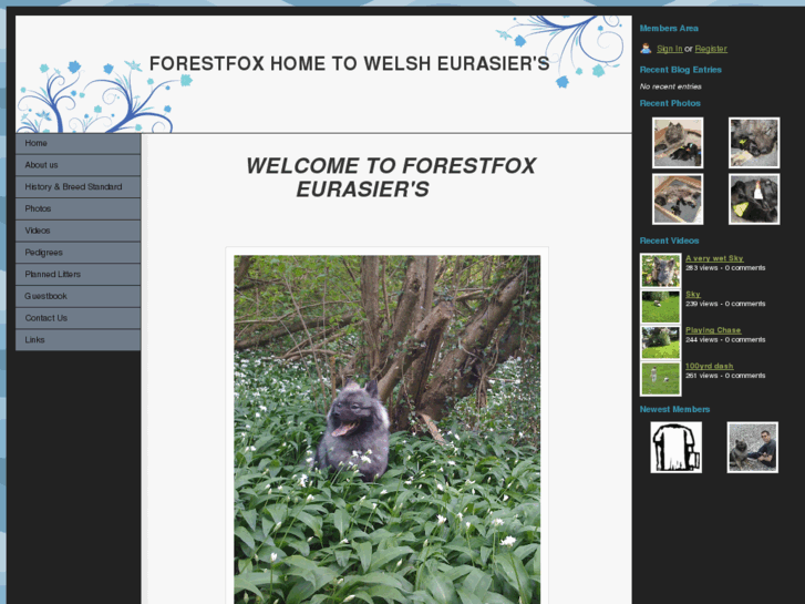 www.forestfoxeurasiers.com