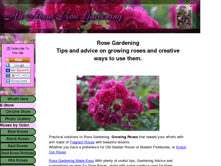 www.allaboutrosegardening.com