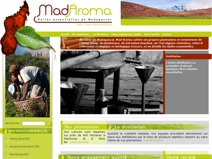 www.mad-aroma.com