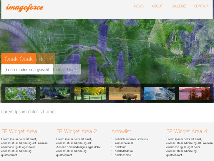 www.imageforce.de