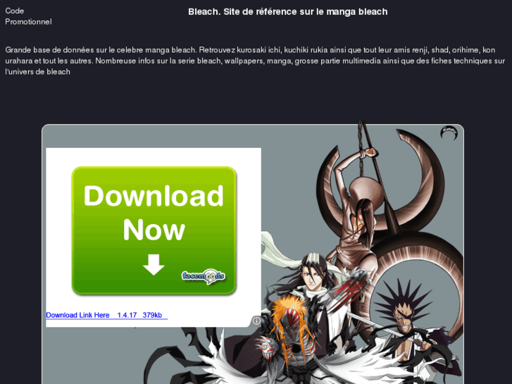 www.bleach-ichigo.info