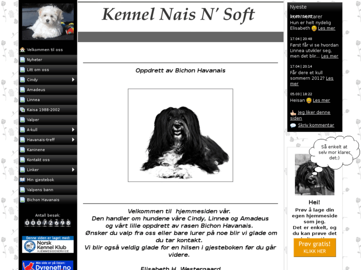 www.naisnsoft.com