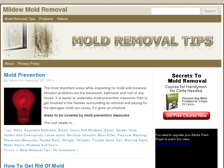 www.mildewmoldremoval.com