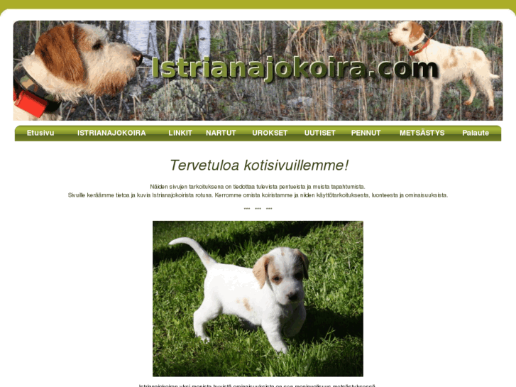 www.istrianajokoira.com