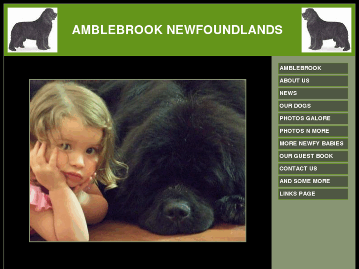 www.amblebrook.com