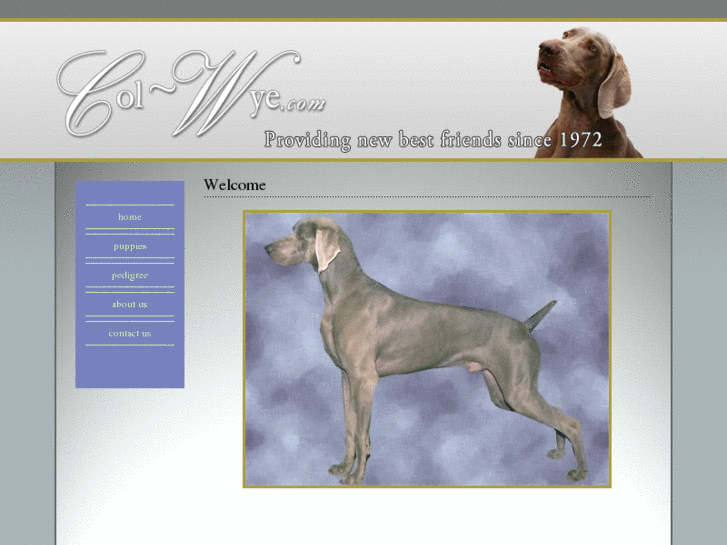 www.col-wye.com
