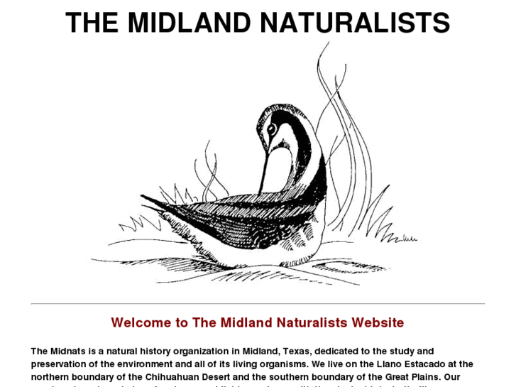 www.midlandnaturalists.org