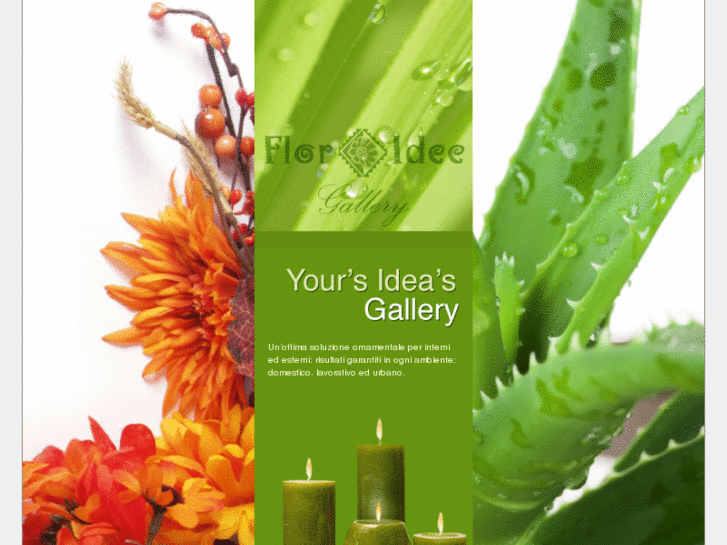 www.florideegallery.com