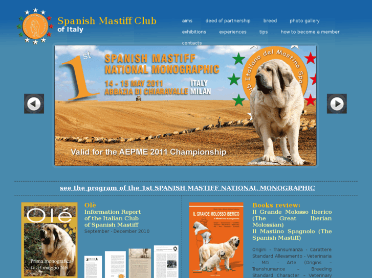 www.spanishmastiffitalianclub.com