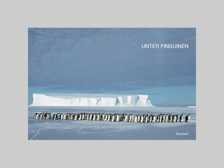 www.amongpenguins.com