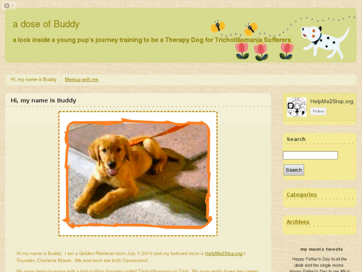 www.adoseofbuddy.com