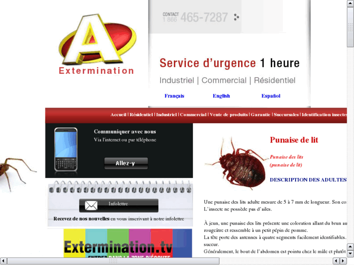 www.extermination-punaises.com