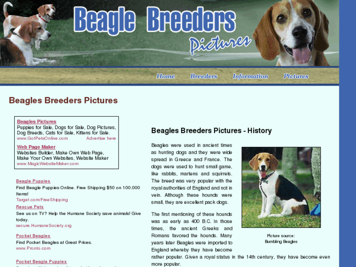 www.beagle-breeders-pictures.com