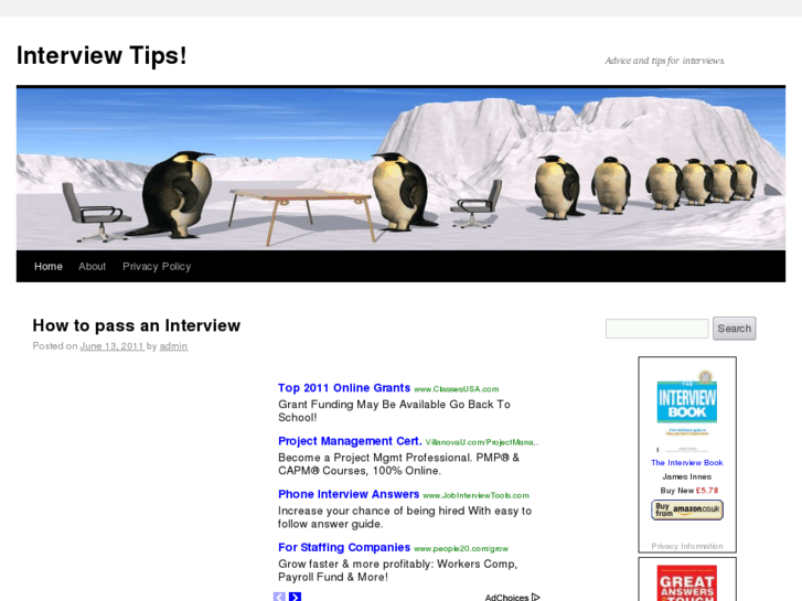 www.interview-tips.info