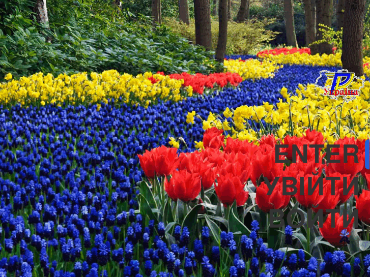www.rk-ukraina.com